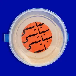 سبايسي ثوم